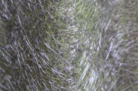 Hartest Hill fibreglass roof work